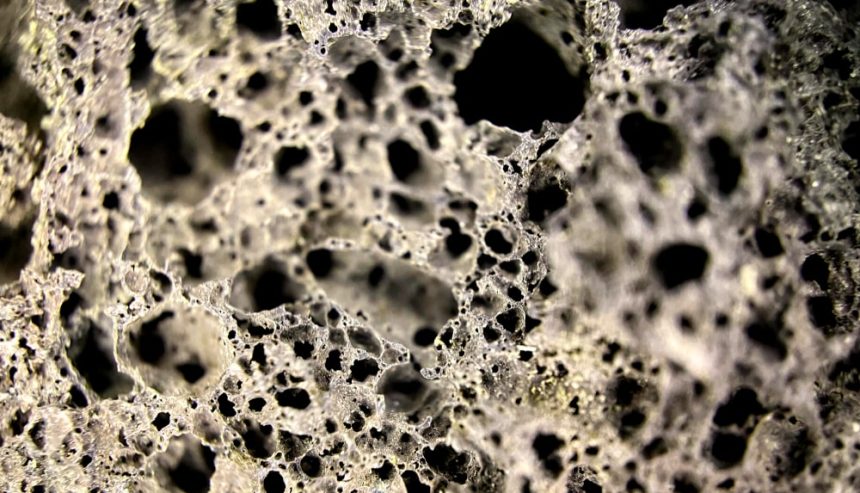 Black Mold