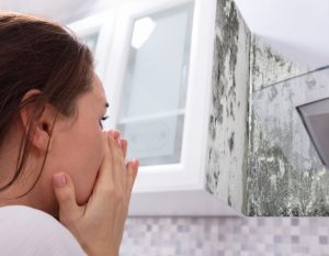 Identifying Mold in your Home Before it Spreads