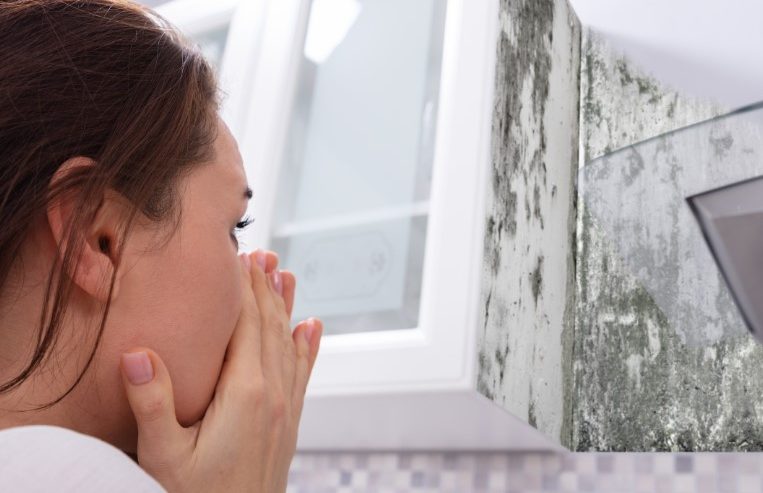 Identifying Mold in your Home Before it Spreads