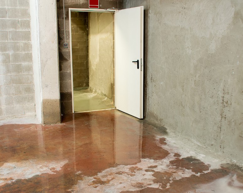 Drying Out Your Basement