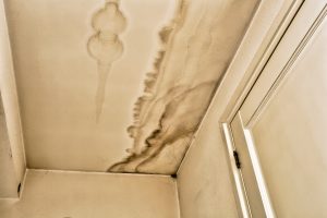 water damage insurance