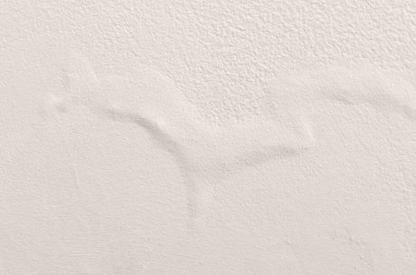 Identifying Hidden Water Damage Before It's Too Late