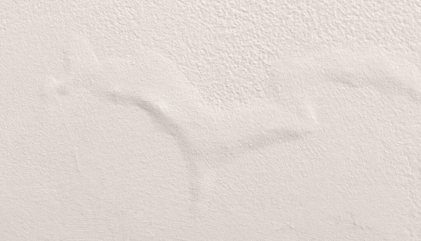 Identifying Hidden Water Damage Before It's Too Late