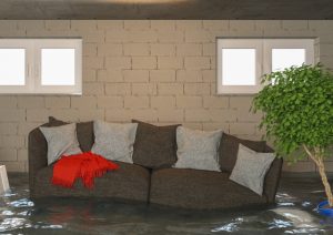 Essential Steps for Water Restoration and Prevention