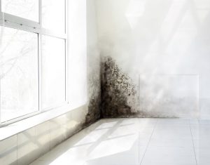 Preventing Mold in Commercial Buildings