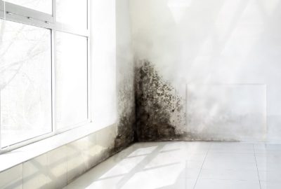 Preventing Mold in Commercial Buildings