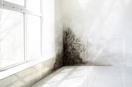 Preventing Mold in Commercial Buildings