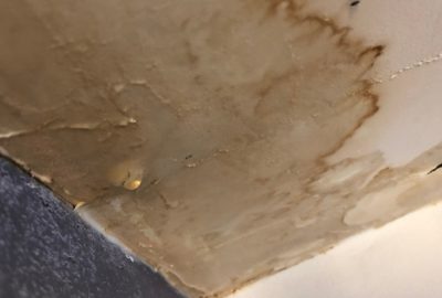 How Long Does Water Need to Sit Before It Causes Permanent Damage