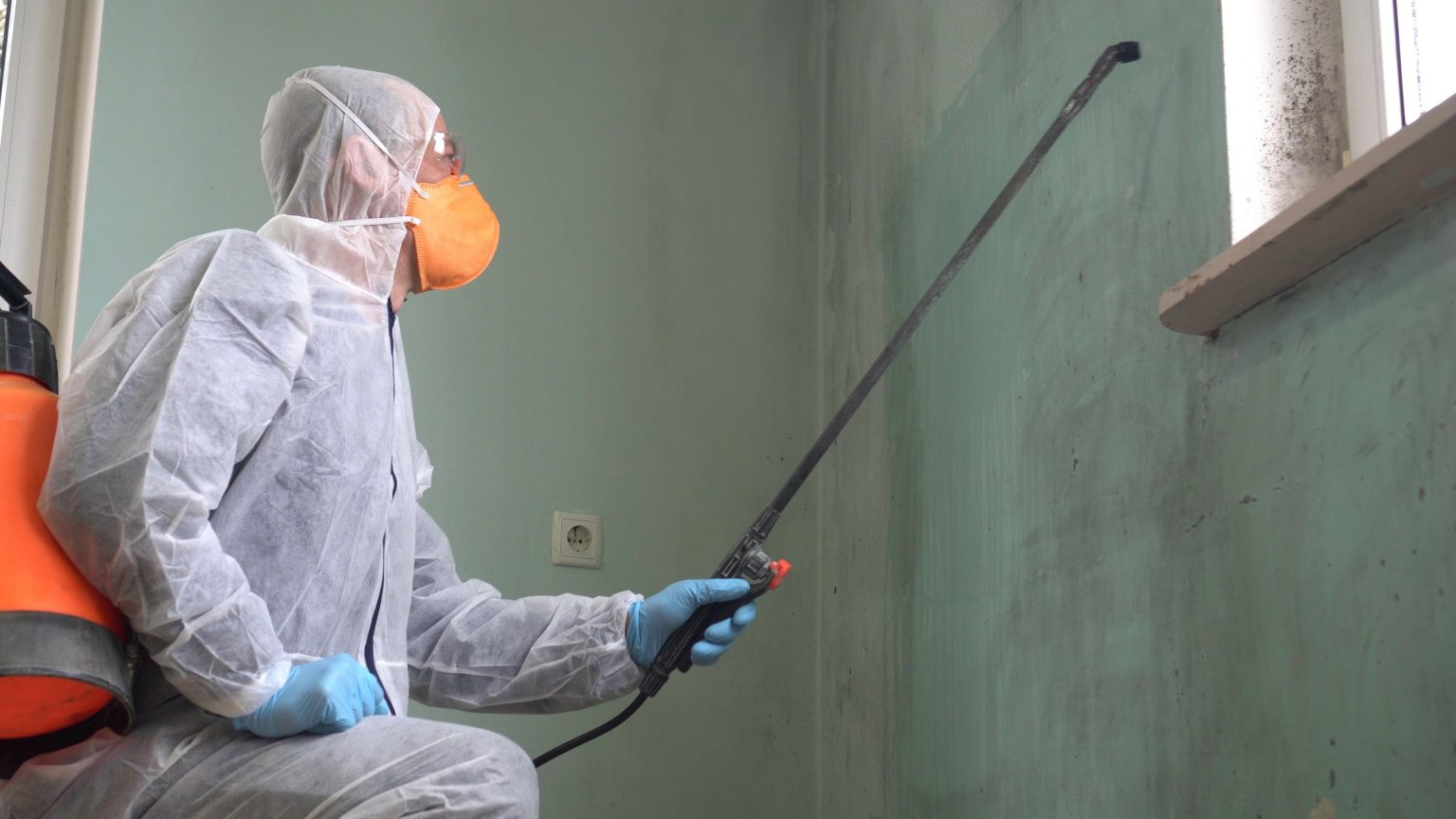 Mold Remediation Services in Kenosha, WI