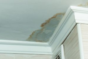 Mold Smell after water damage