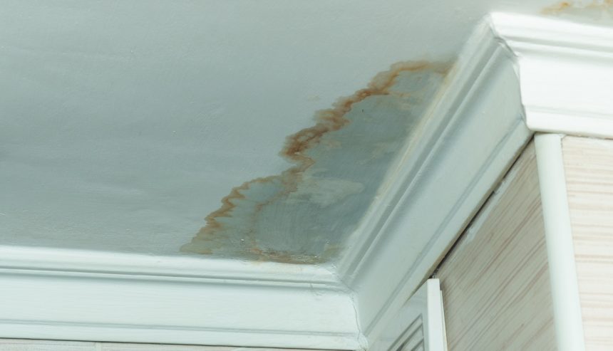 Mold Smell after water damage