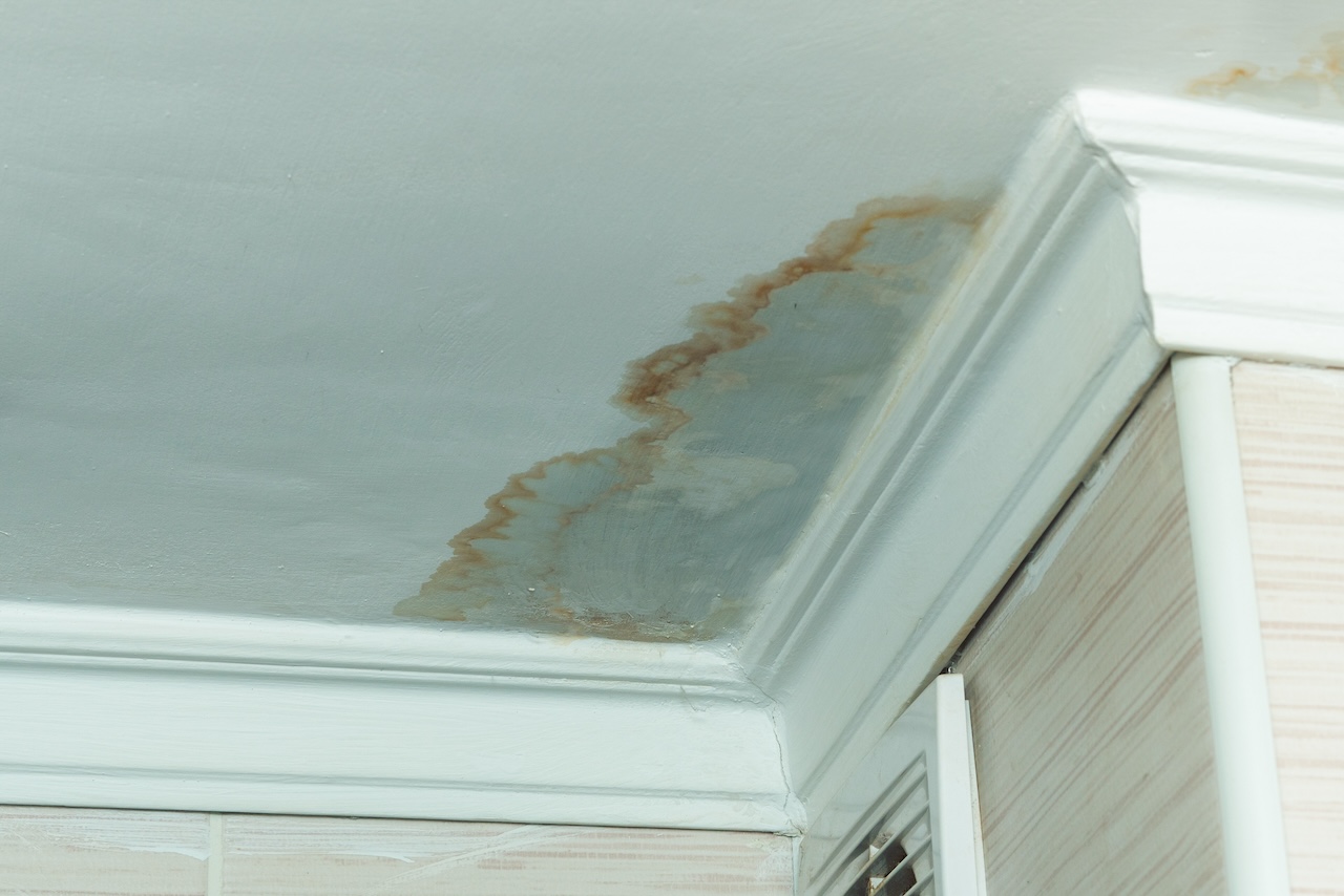Mold Smell After Water Damage: Burlington Emergency Response Guide