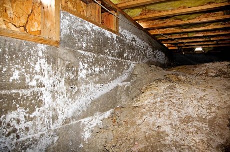 crawl space dirt smell mold