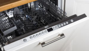 Dishwasher Mold Smell