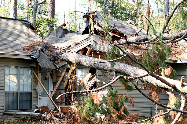 Storm Damage Prevention Tips: Burlington Homeowner’s Checklist