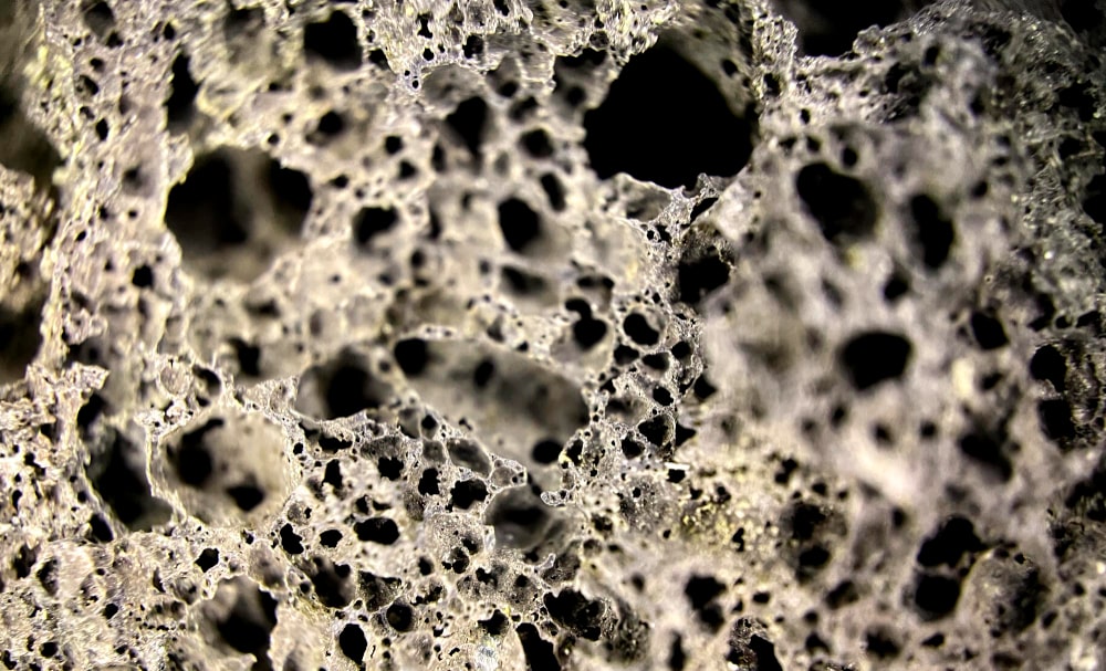 Black Mold