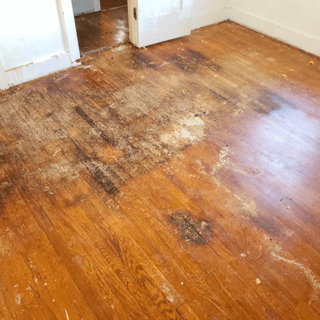 Water-damaged wood floor showing discoloration and stains in a partially empty room.