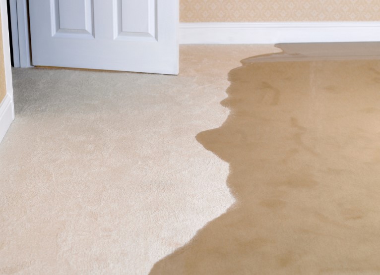 Protecting Your Basement from Seasonal Flooding