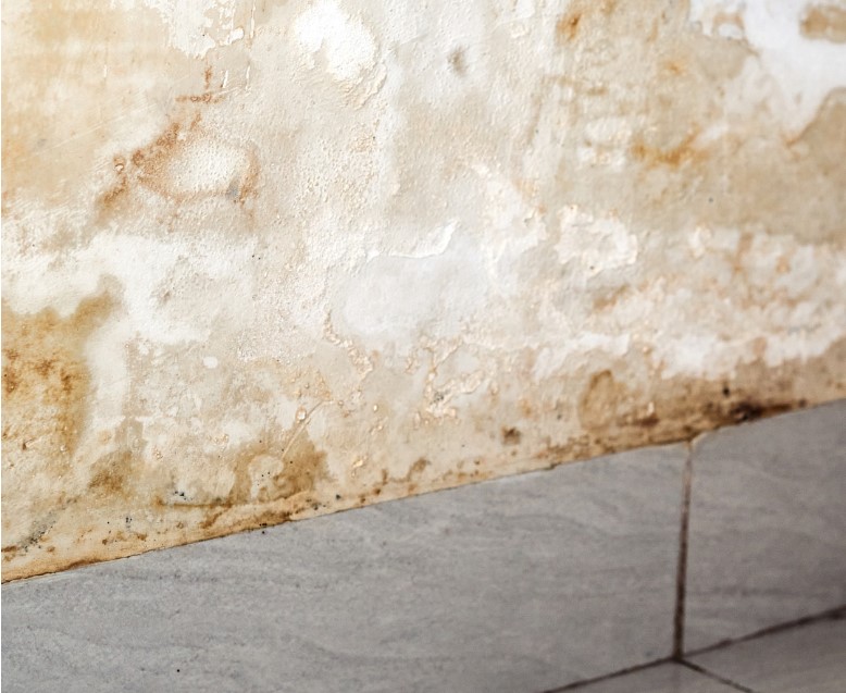 Water Damage Restoration and Mitigation