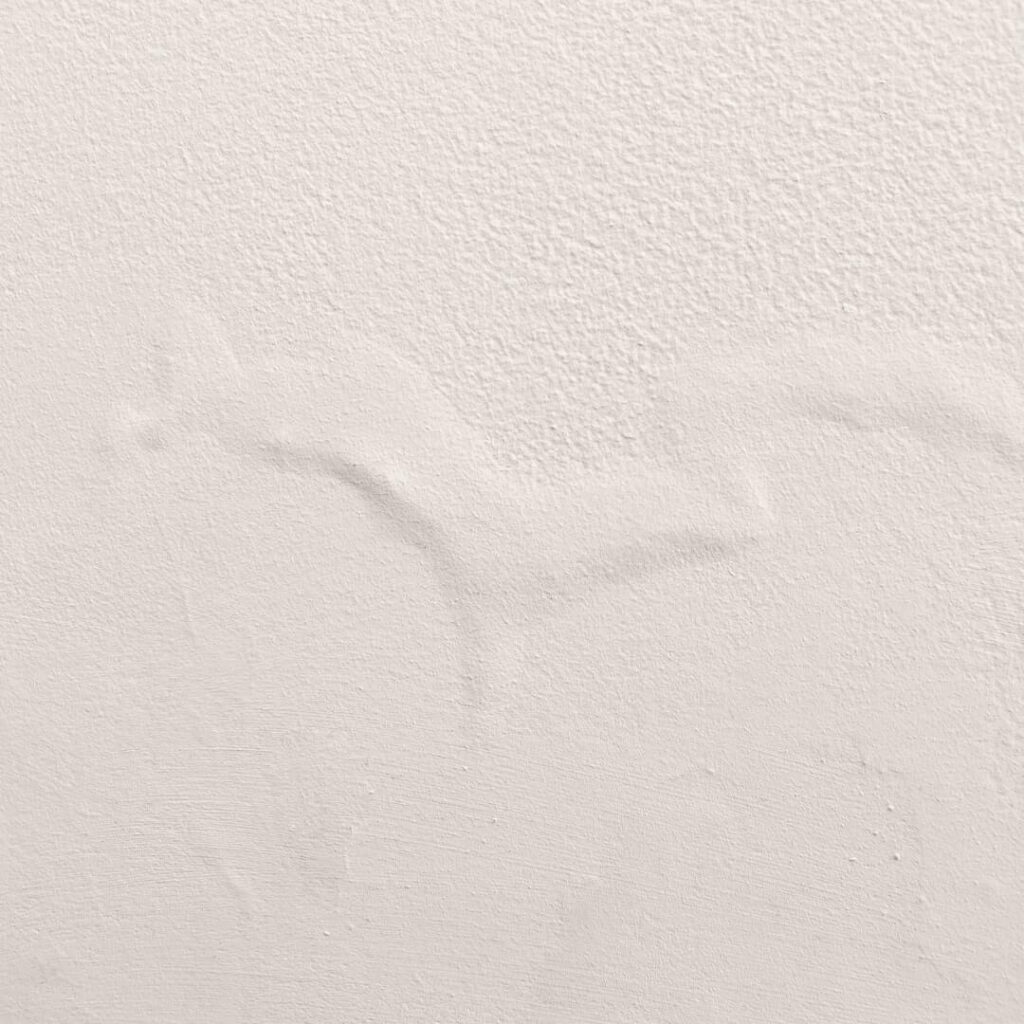 Identifying Hidden Water Damage Before It's Too Late