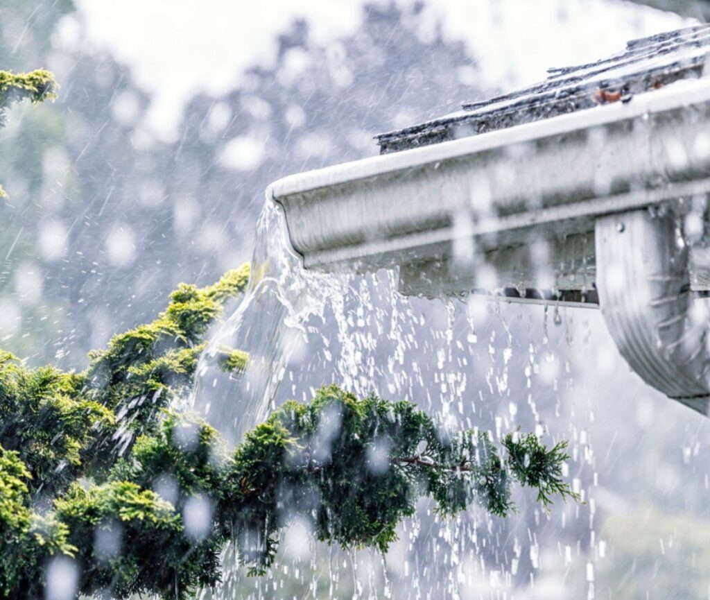 Rainwater flowing from a gutter onto a tree, illustrating the importance of water damage prevention in spring.