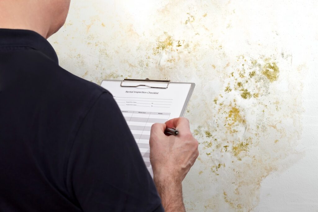who pays for mold