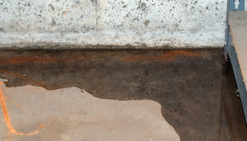 basement mold smell after rain