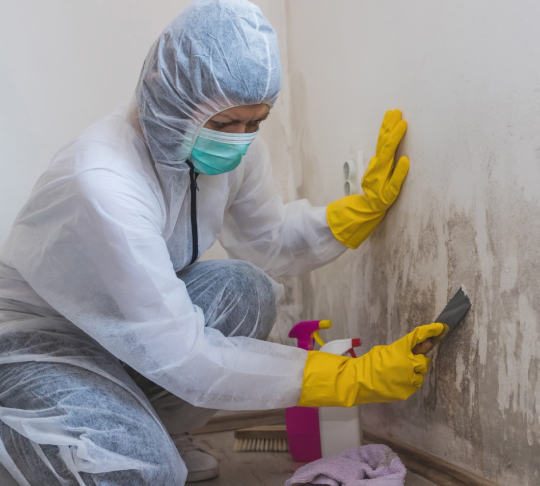 Bleach on Mold