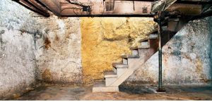 Basement Mold smell spring