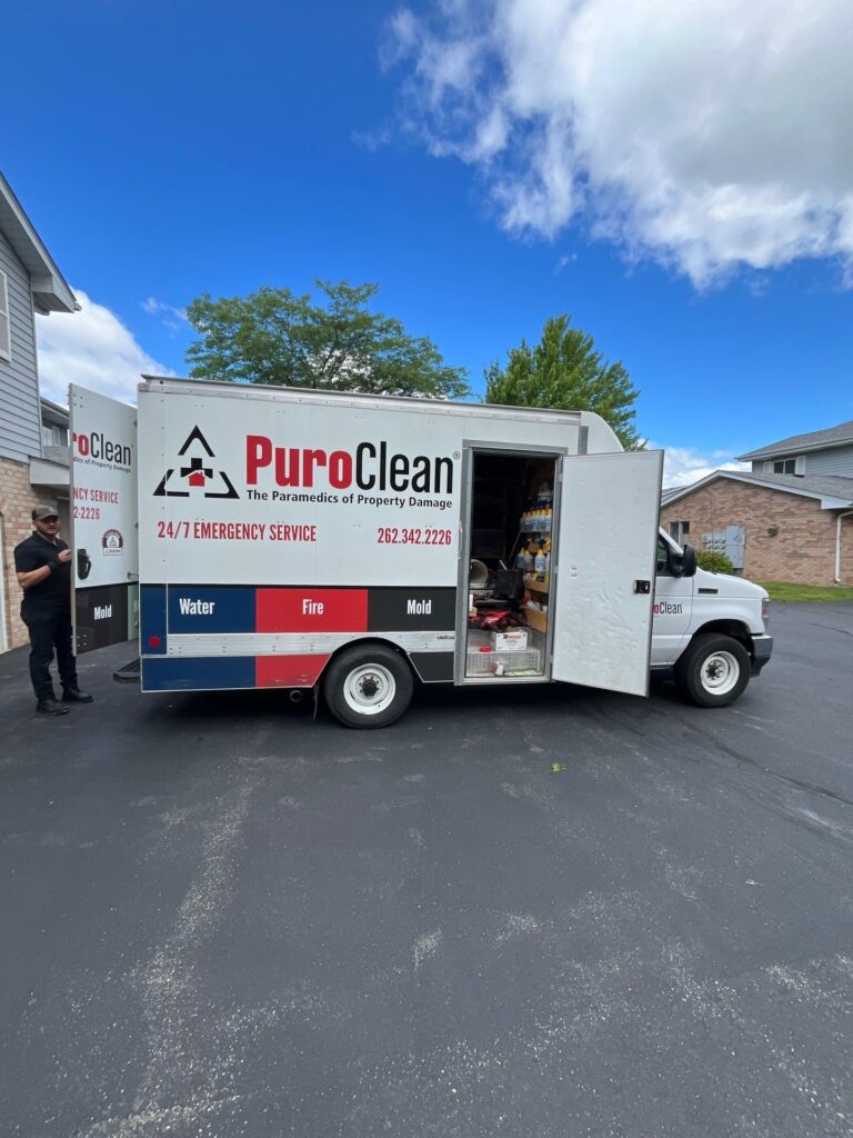 Mold remediation in Burlington