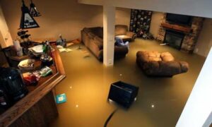 basement water removal in Burlington