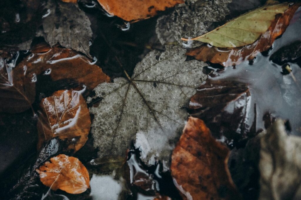 fall gutter cleaning north metro atlanta clogged gutters with wet leaves causing water damage