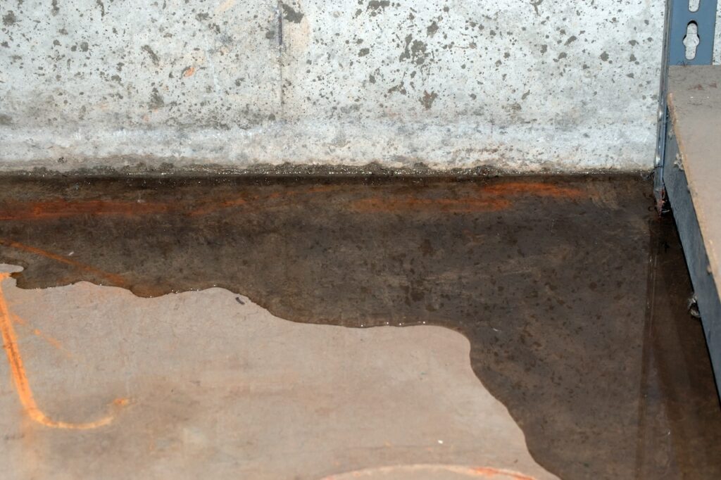 Moldy basement wall with water pooling on the floor, highlighting moisture issues.