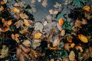 Fall gutter cleaning north metro atlanta to prevent water damage in residential homes