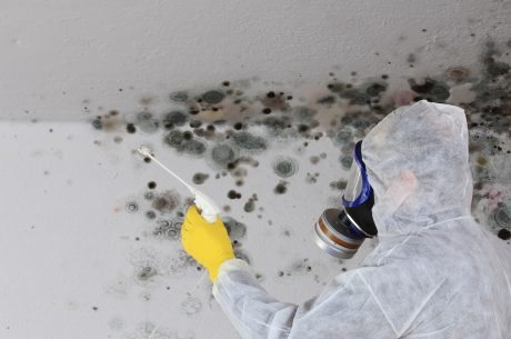 A person in PPE cleans mold off of a wall