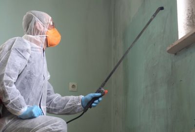 antimicrobial mold remediation