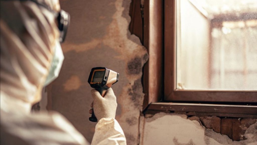 Restoration technician using infrared thermal imaging camera to detect moisture in water-damaged wall during moisture mapping assessment