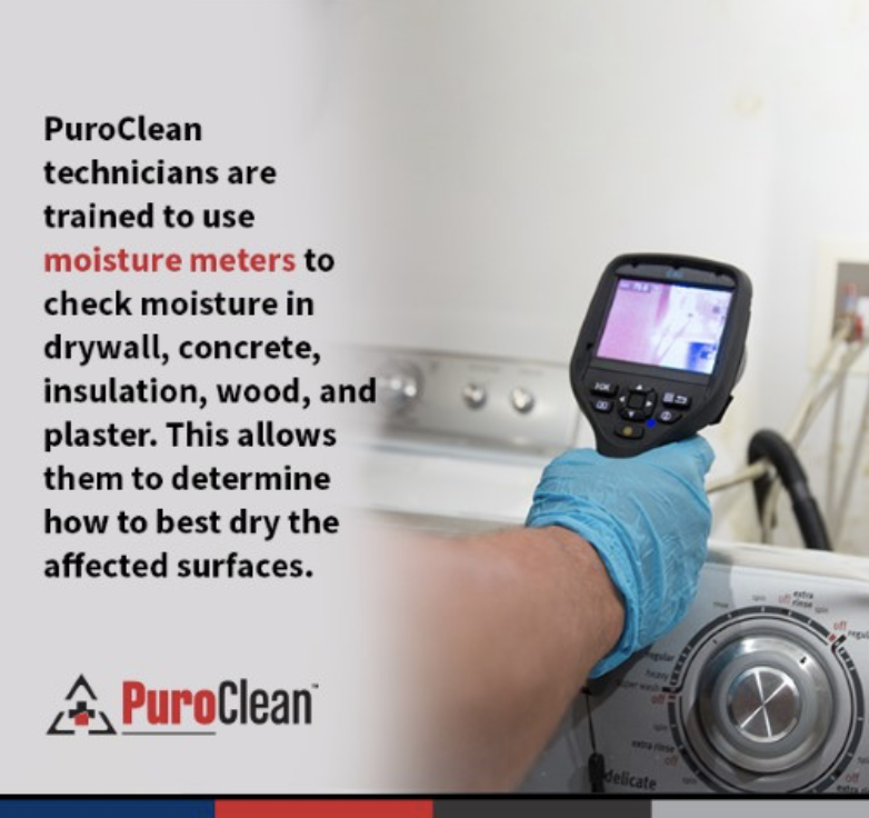PuroClean technician using moisture meter to check moisture levels in drywall, concrete, insulation, wood, and plaster for water damage restoration