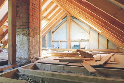 mold-in attic