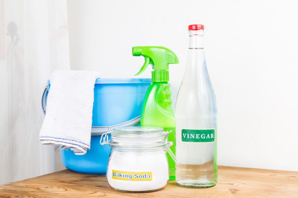 how to remove mold stains from clothes using cleaning supplies
