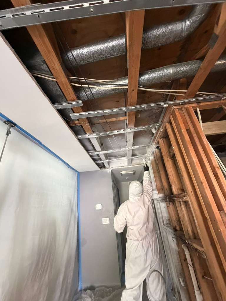 Expert hoarding cleanup and packout service in Carrollwood, Tampa