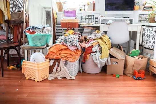 Compassionate Hoarding cleanup in Carrollwood and Tampa
