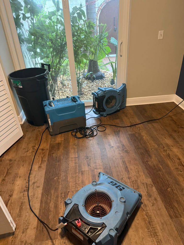 Mold Removal in Tampa by Puroclean of Carrollwood