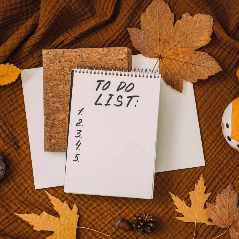 A blank 'TO DO LIST' notebook sits on a brown blanket surrounded by fall leaves and acorns