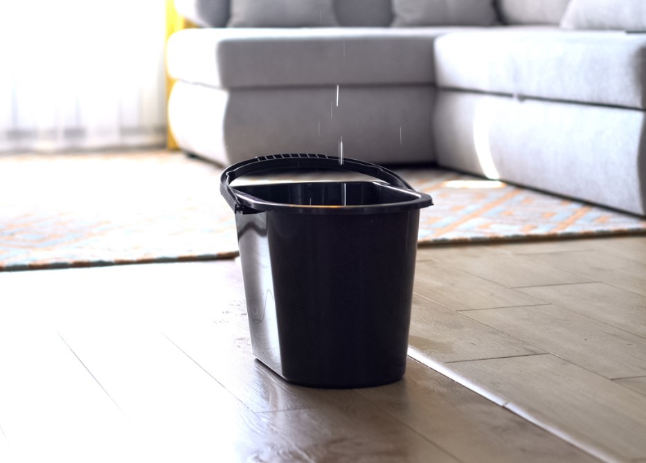 Roof Leaks