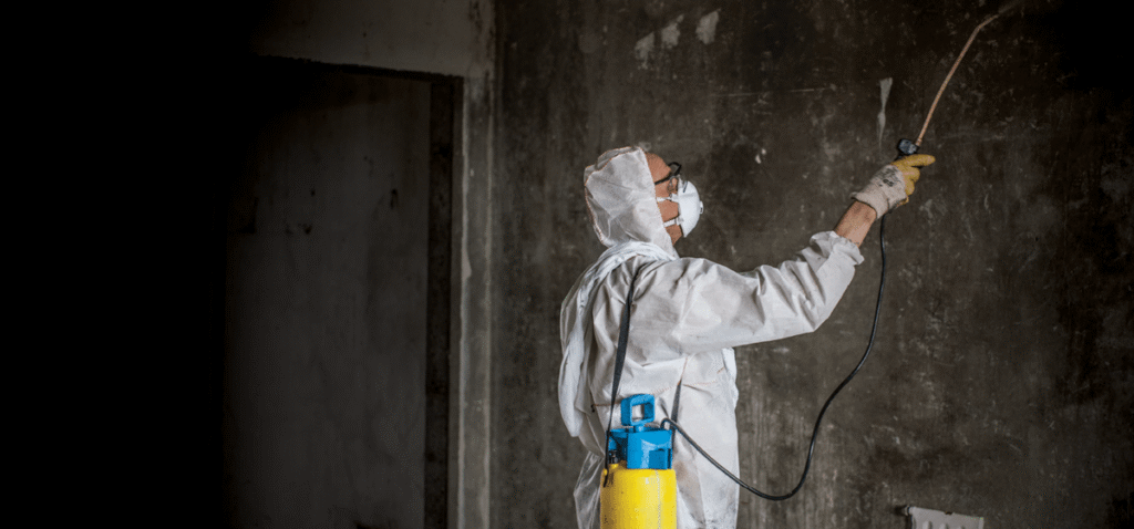 Fire Damage Restoration