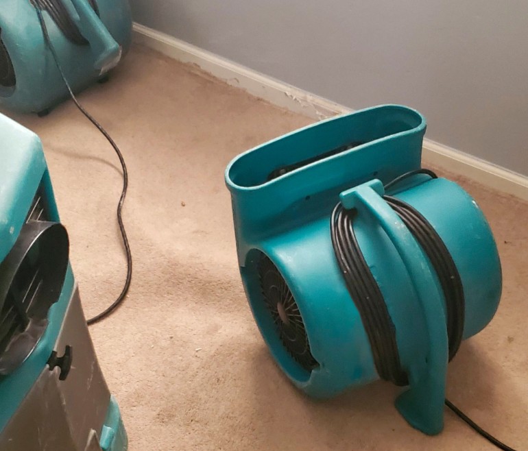 Can I Clean Sewage on My Own