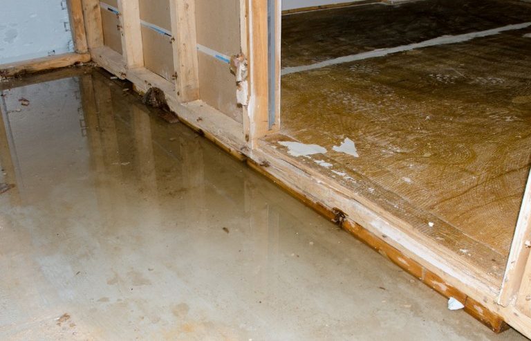 How to Properly Clean Up Sewage in Carthage, NC