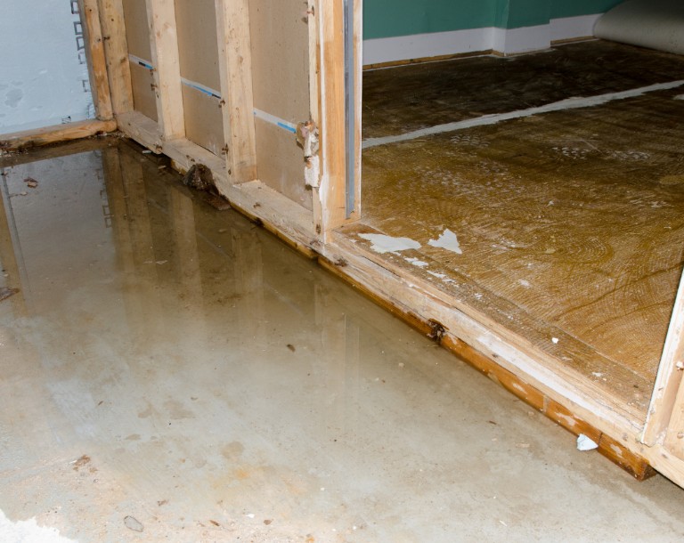 How to Properly Clean Up Sewage in Carthage, NC