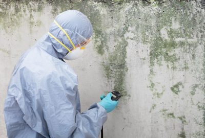 mold damage restoration